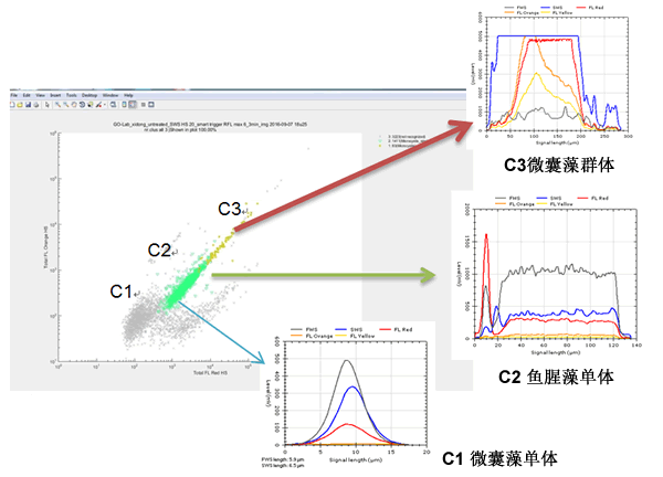 CytoSense藻类在线系统120h高频次无故障运行实验效果图.gif CytoSense藻类在线系统120h高频次无故障运行实验效果图.gif