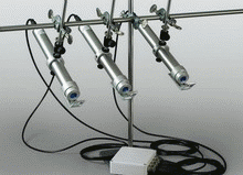 moni-pam new.gif moni-pam new.gif