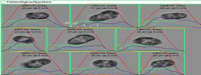 图片12.png 图片12.png