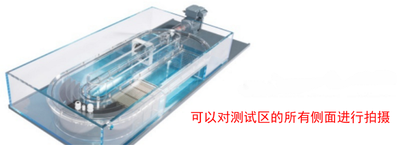 图片62.png